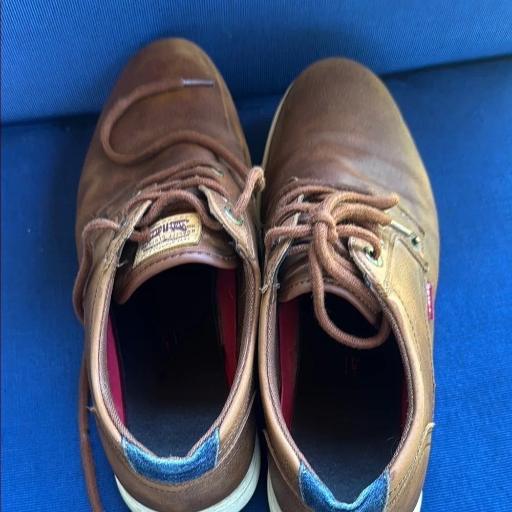 Levi's Brown Leather Sneakers with White Sole